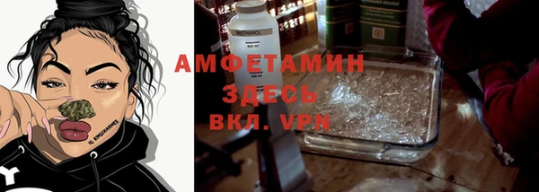 шишки Осташков