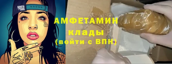 шишки Осташков
