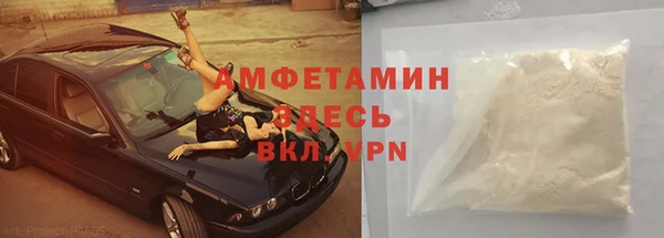 шишки Осташков