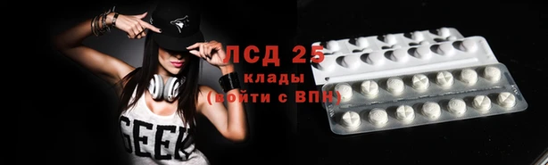 шишки Осташков