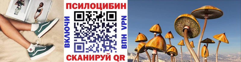 Галлюциногенные грибы Psilocybine cubensis Кедровый
