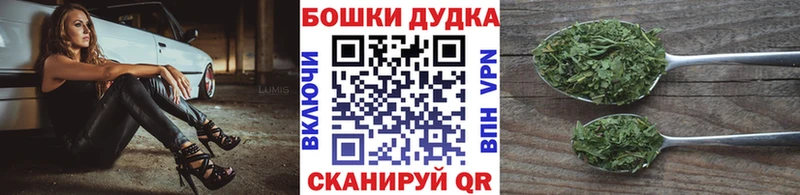 МАРИХУАНА план Кедровый